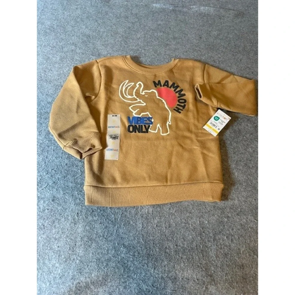 Garanimals Toddler Boys Mammoth Vibes Only Fleece Sweatshirt Brown 2T NWT